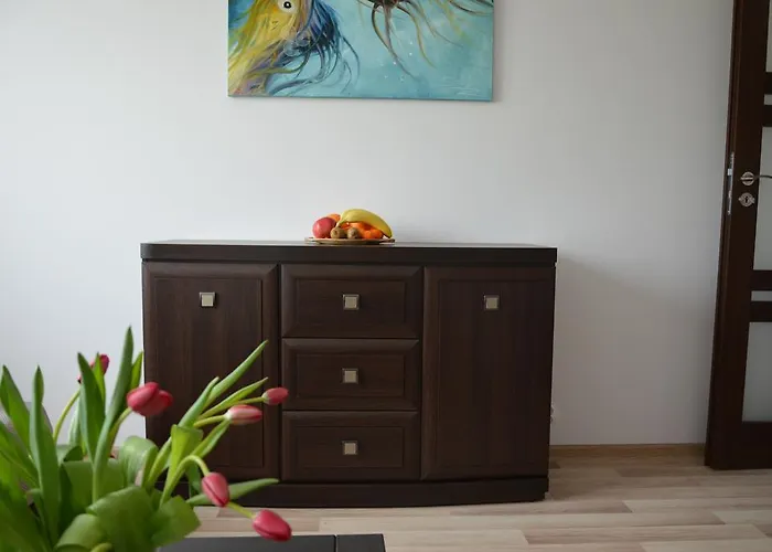 Apartament Szczecin Pomorzany